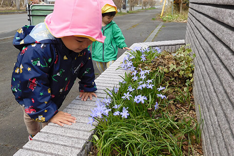 結いの家 保育園